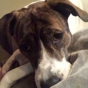 Meet your Posher, Stacy